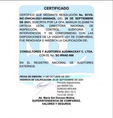 Calificación - Auditores Externos